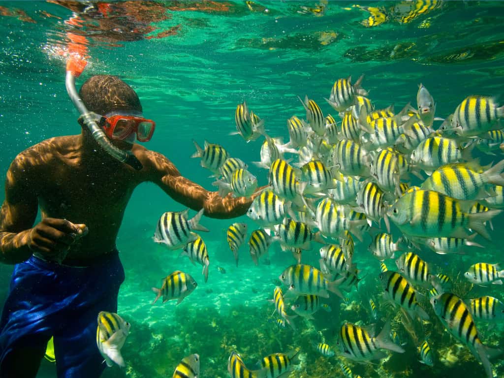 Snorkeling