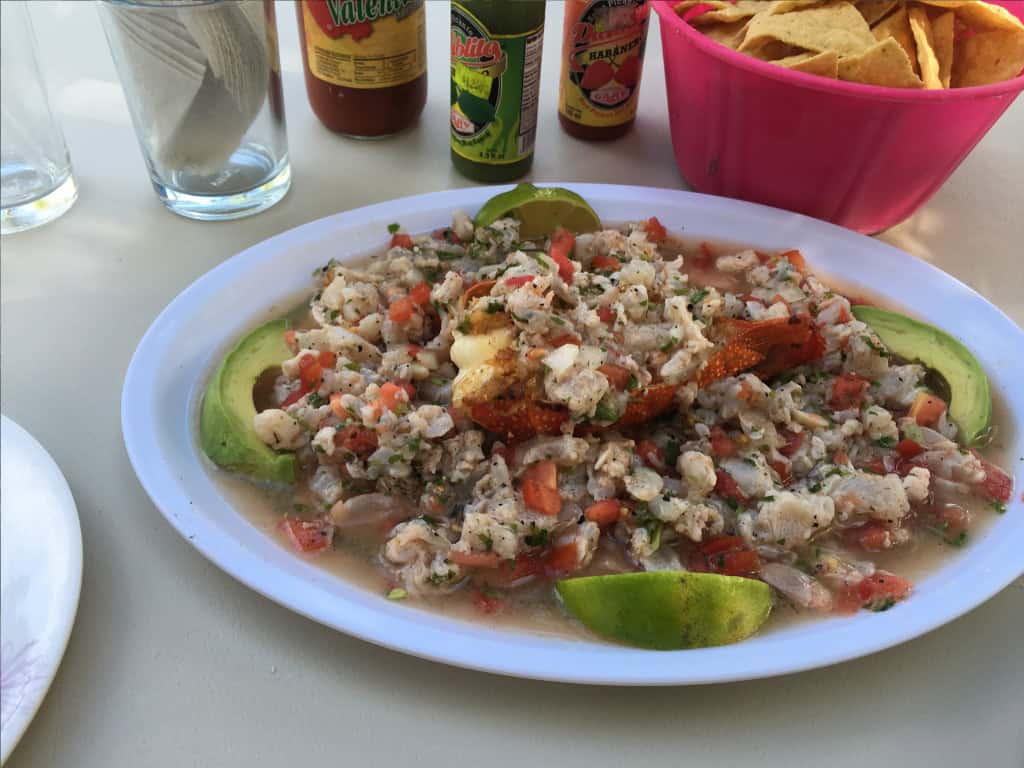 Chamicos