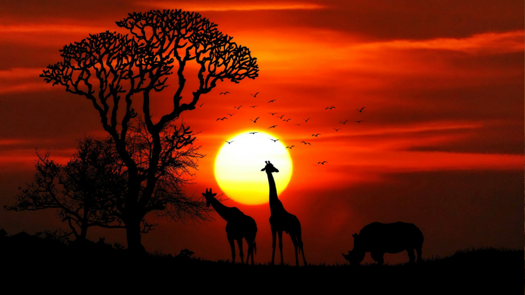 Africa