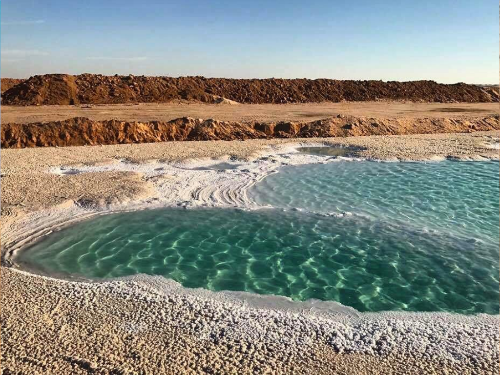 siwa oasis