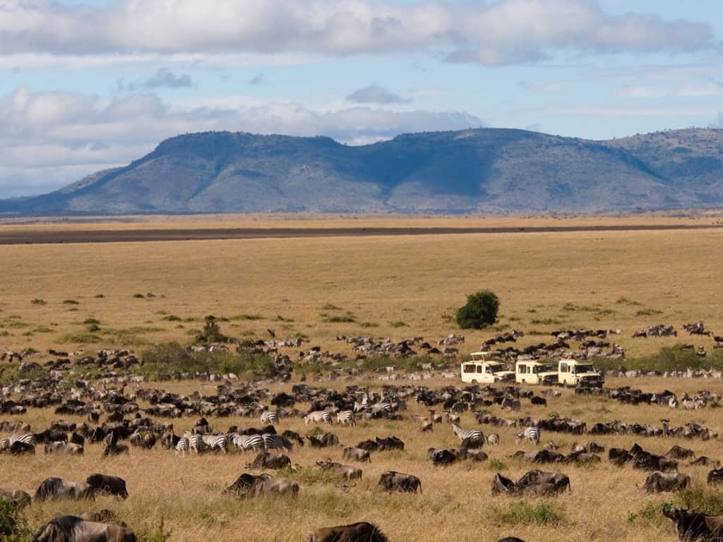 The Maasai Mara/Serengeti