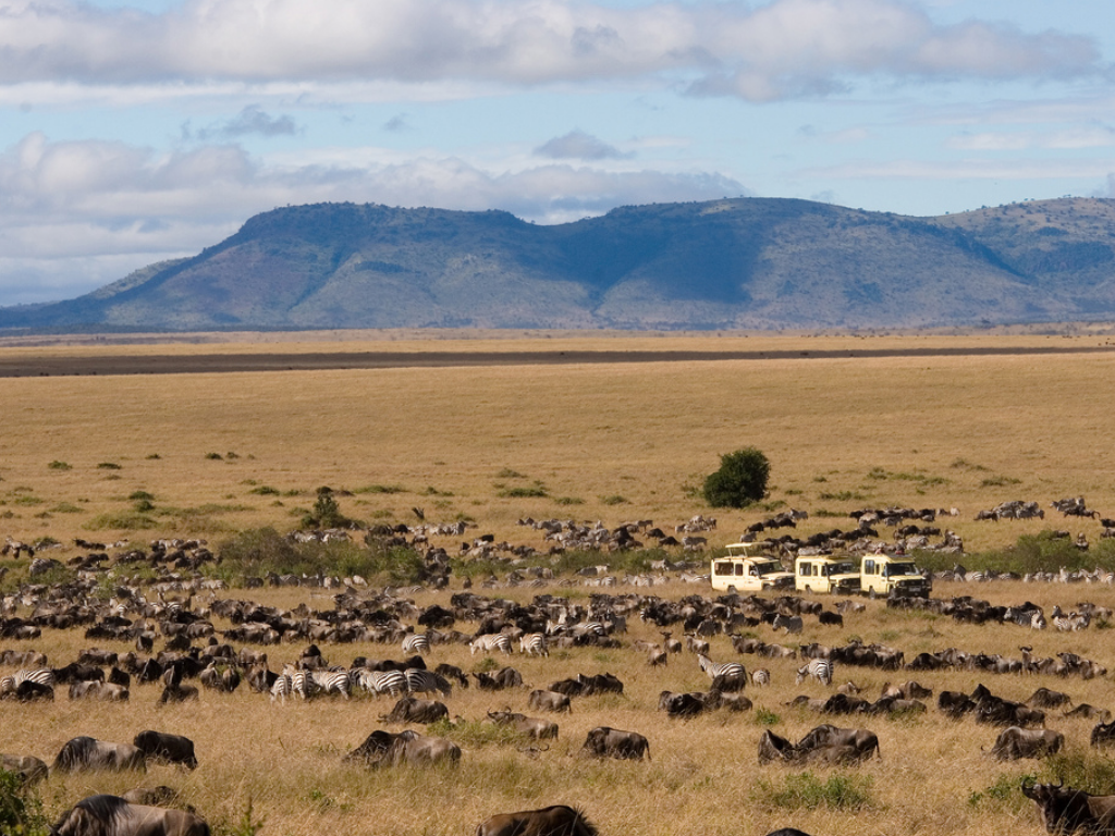 The Maasai Mara/Serengeti