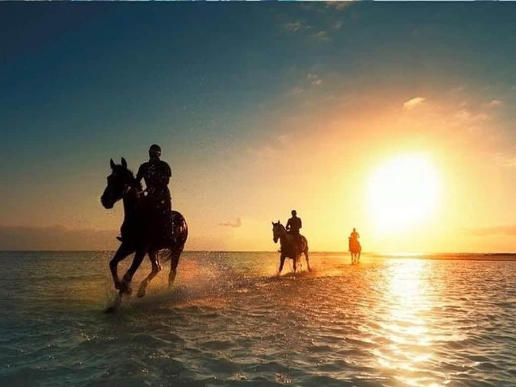 horseback riding