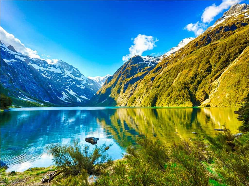 new zealand