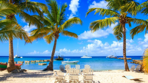 Read more about the article Top 10 Things to Explore and Do in Punta Cana