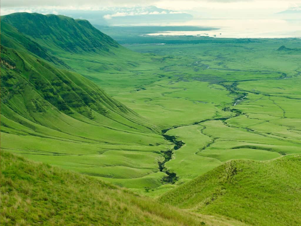 the rift valley