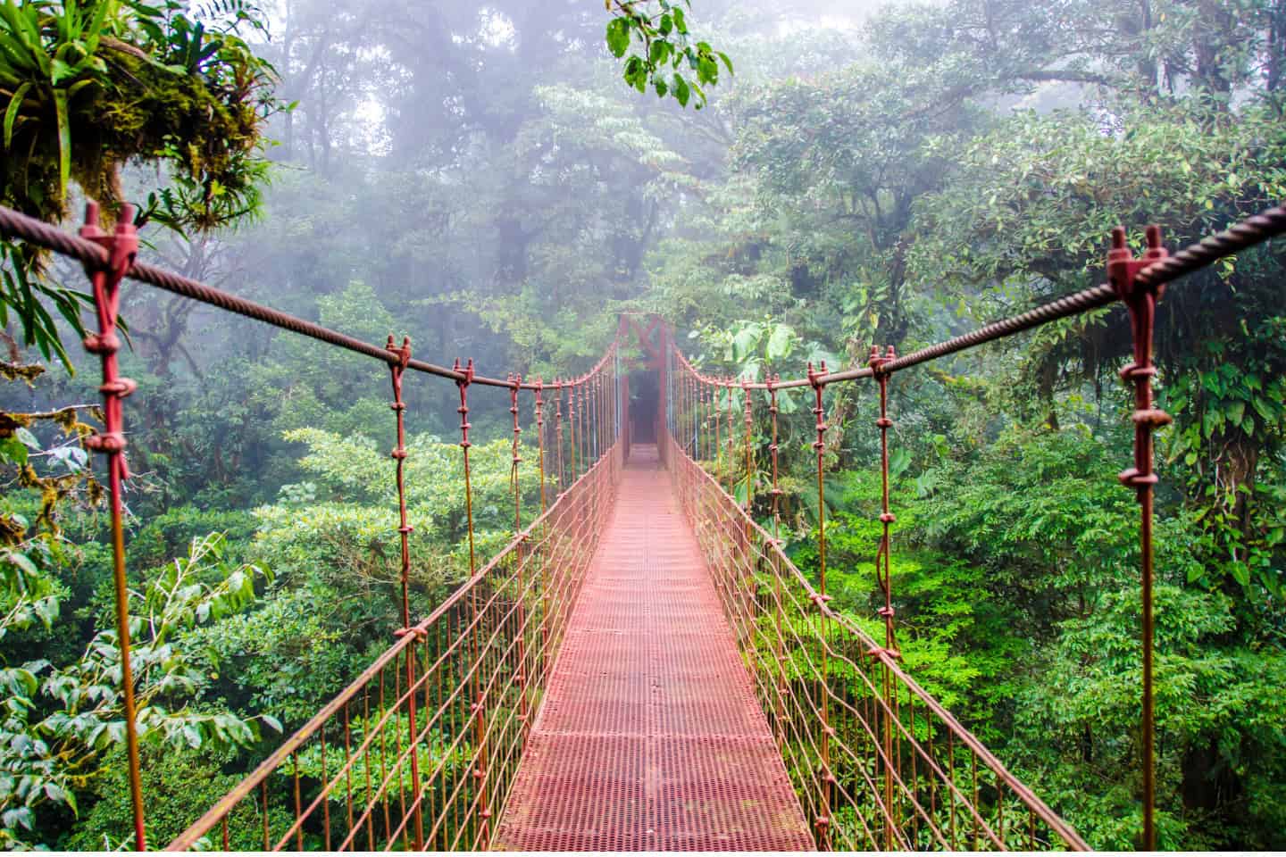Hanging Bridges Costa Rica