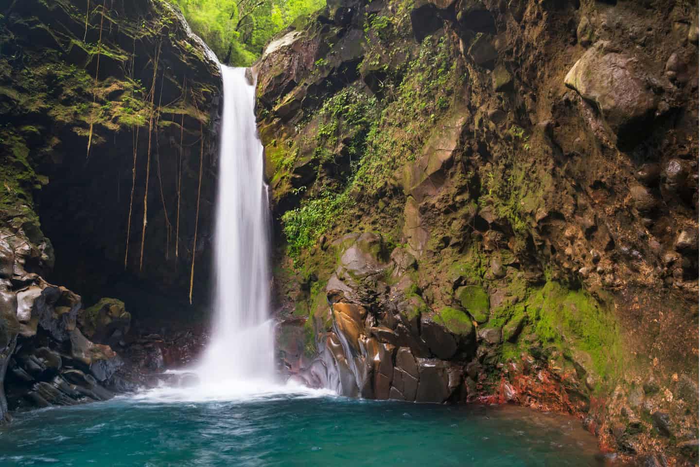 Costa Rica Tour Waterfall