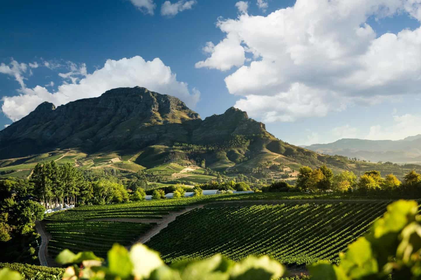 Stellenbosch